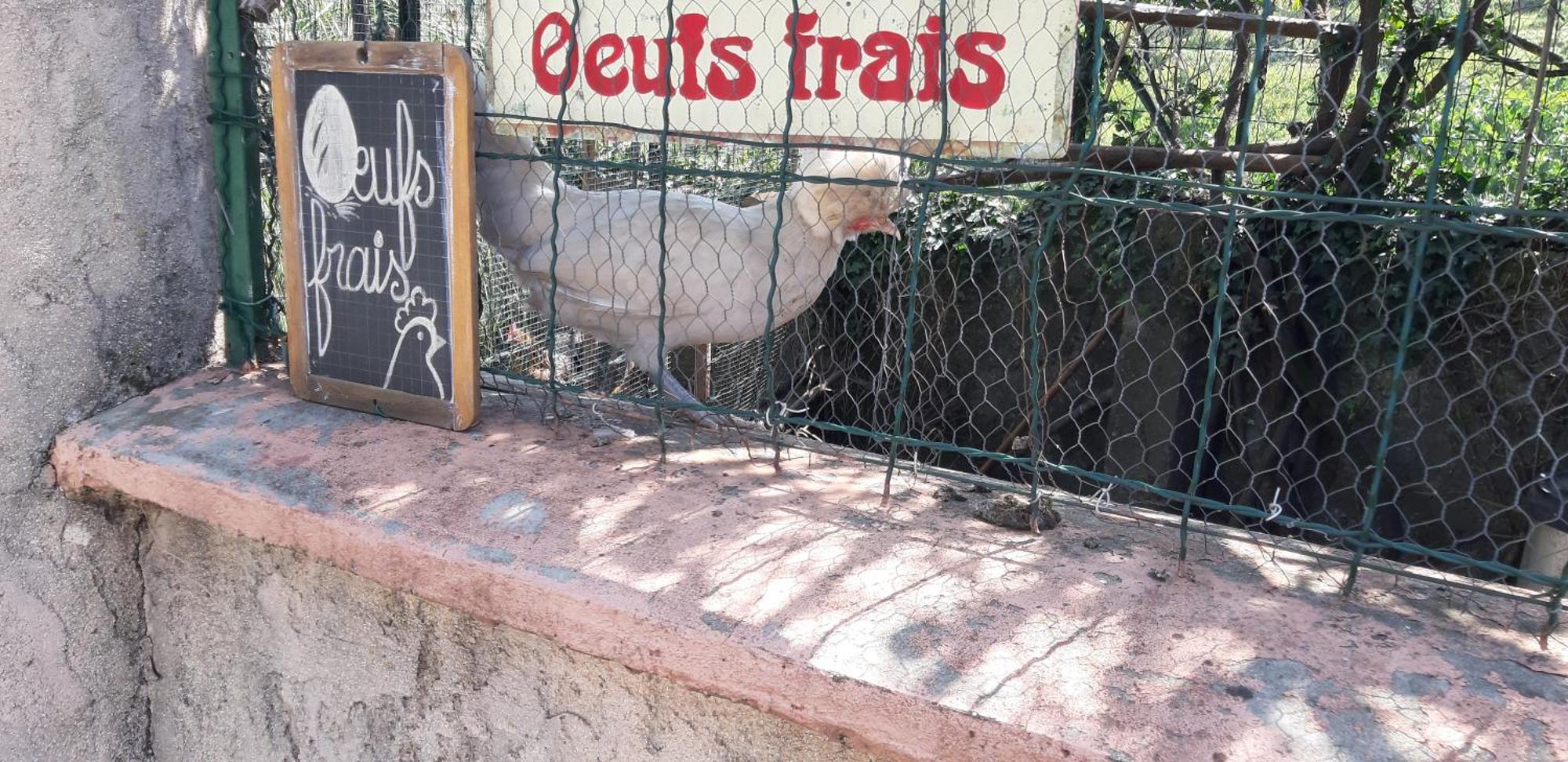 Les Ecrins Apartman Les Mages Kültér fotó